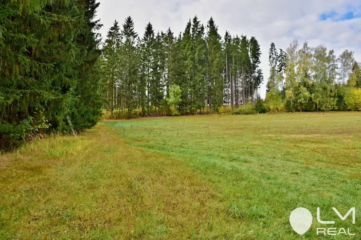 Prodej lesa, Řečice, 9184 m2