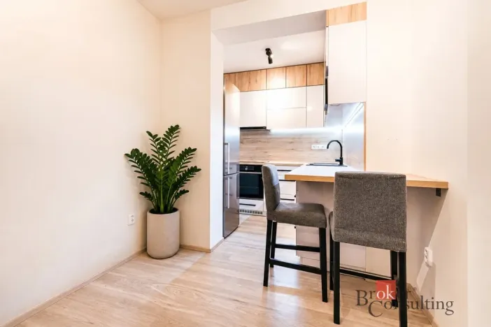 Prodej bytu 1+kk, Brno - Židenice, Vinařického, 42 m2