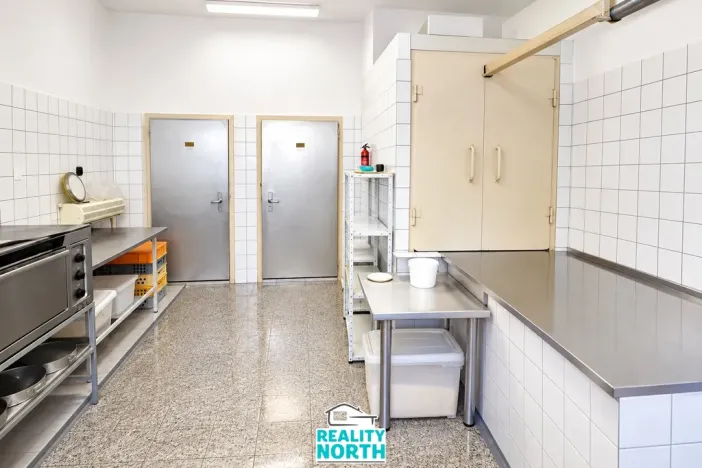 Pronájem výrobních prostor, Světec, Kostomlatská, 150 m2