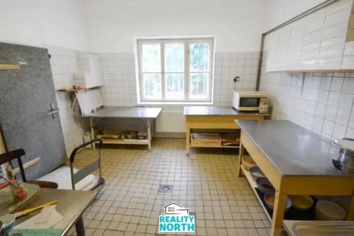 Pronájem výrobních prostor, Světec, Kostomlatská, 150 m2