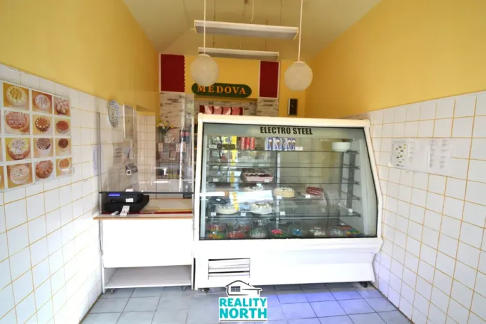 Pronájem výrobních prostor, Světec, Kostomlatská, 150 m2