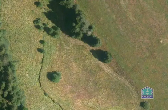 Prodej louky, Lesná - Stará Knížecí Huť, 9771 m2