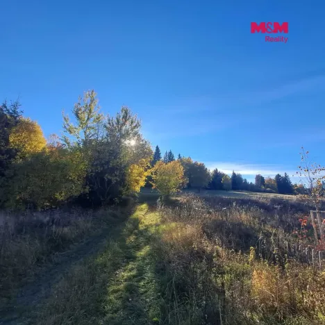 Prodej pole, Stará Ves, 8308 m2