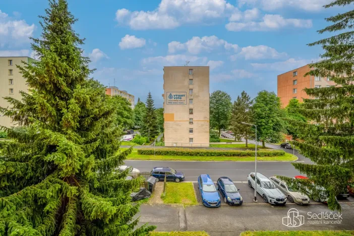 Pronájem bytu 3+1, Sokolov, Švabinského, 63 m2