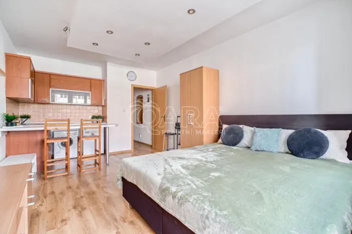 Prodej bytu 1+kk, Ostrava - Moravská Ostrava, U Parku, 29 m2