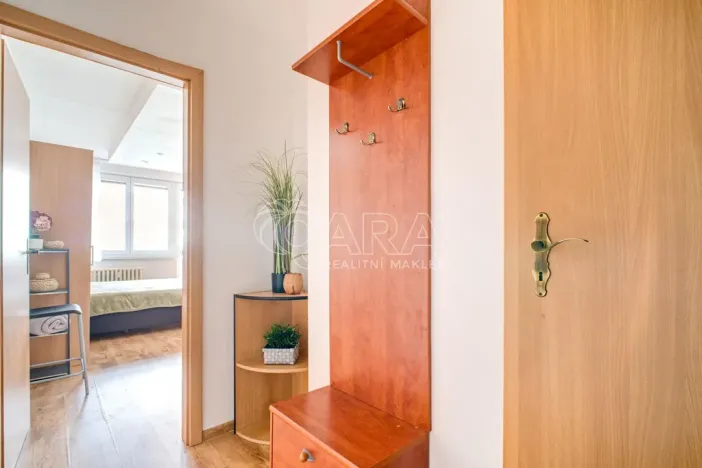 Prodej bytu 1+kk, Ostrava - Moravská Ostrava, U Parku, 29 m2