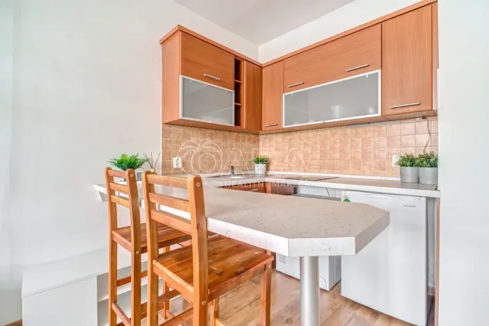 Prodej bytu 1+kk, Ostrava - Moravská Ostrava, U Parku, 29 m2