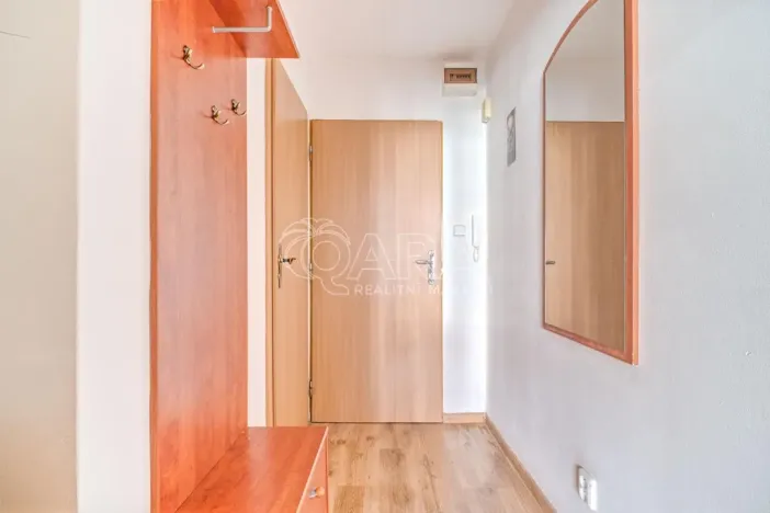Prodej bytu 1+kk, Ostrava - Moravská Ostrava, U Parku, 29 m2