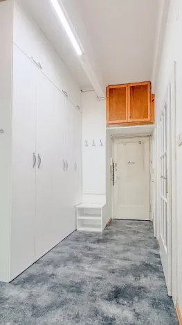 Pronájem bytu 2+kk, Praha - Žižkov, Jeseniova, 50 m2