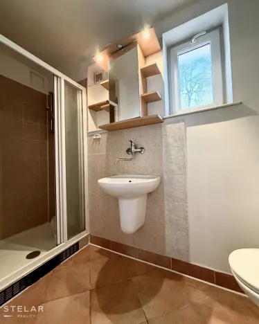 Pronájem rodinného domu, Opava, U Jezera, 216 m2