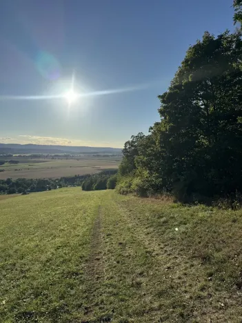 Prodej podílu lesa, Albrechtice, 2552 m2