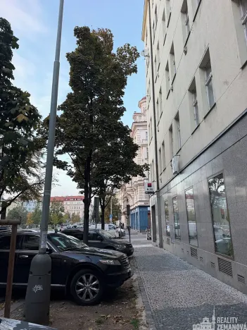 Pronájem bytu 1+1, Praha - Vinohrady, Řipská, 46 m2