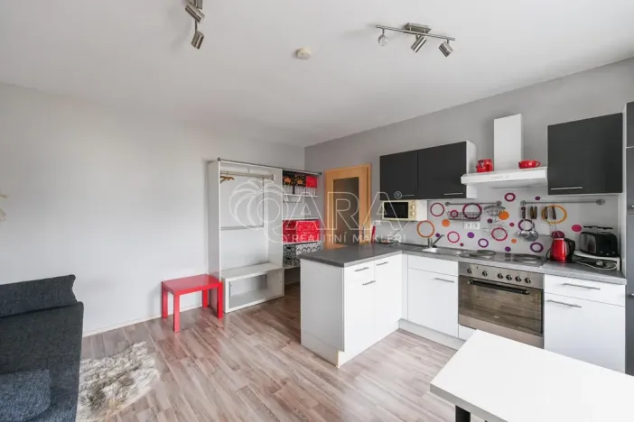 Pronájem bytu 1+kk, Týnec nad Sázavou - Chrást nad Sázavou, 30 m2