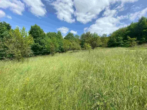 Prodej pozemku, 2790 m², Nedašova Lhota