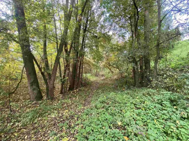 Prodej pozemku, 1003 m², Svijany
