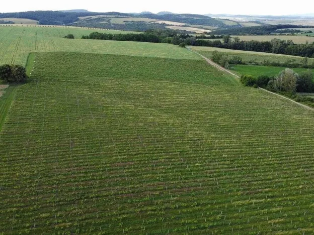 Prodej pozemku, Ořechov, 2077 m2