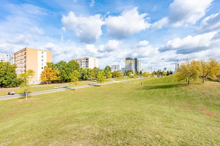 Prodej bytu 2+kk, Praha - Chodov, Podjavorinské, 42 m2