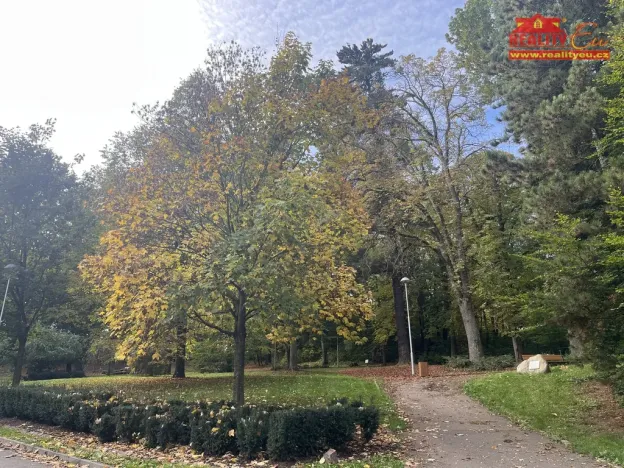 Prodej bytu 4+1, Trutnov - Střední Předměstí, Lnářská, 91 m2