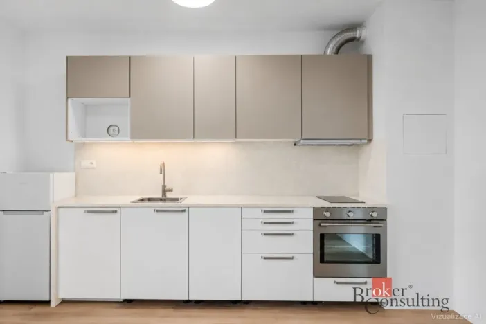 Pronájem bytu 1+kk, Plzeň - Jižní Předměstí, Železná, 28 m2