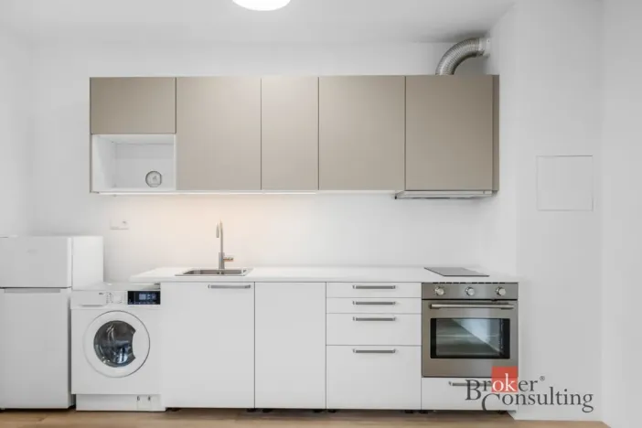 Pronájem bytu 1+kk, Plzeň - Jižní Předměstí, Železná, 28 m2