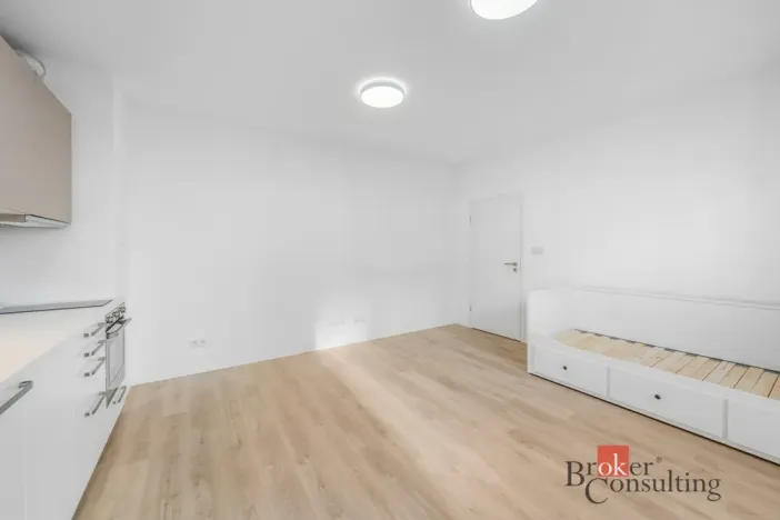 Pronájem bytu 1+kk, Plzeň - Jižní Předměstí, Železná, 28 m2