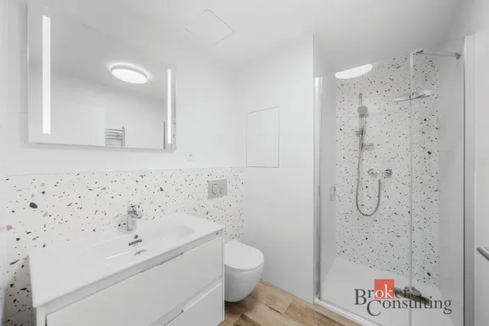 Pronájem bytu 1+kk, Plzeň - Jižní Předměstí, Železná, 28 m2