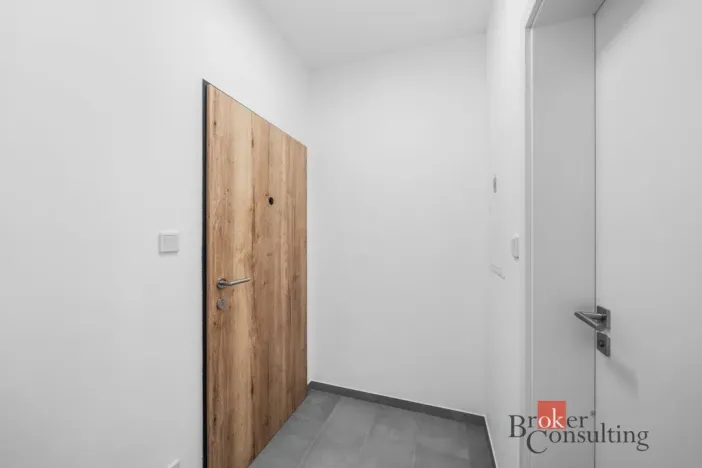 Pronájem bytu 1+kk, Plzeň - Jižní Předměstí, Železná, 28 m2