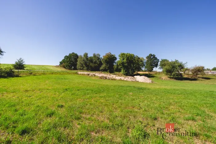 Prodej pozemku pro bydlení, Radnice - Svatá Barbora, 7544 m2