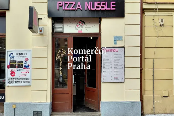 Pronájem nemovitosti, 36 m², Čestmírova, Praha, Nusle