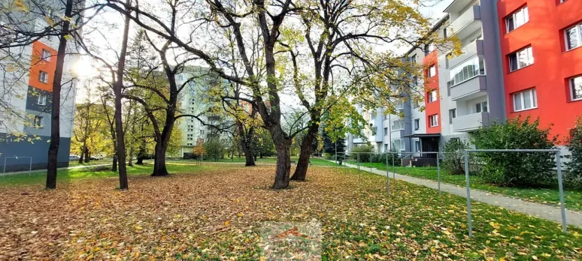 Pronájem bytu 2+1, Valašské Meziříčí - Krásno nad Bečvou, Na Šištotě, 58 m2
