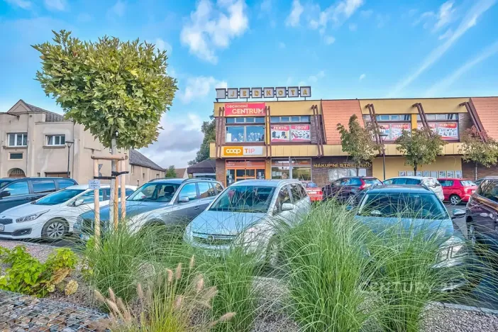 Prodej rodinného domu, Ronov nad Doubravou, Zámecká, 112 m2