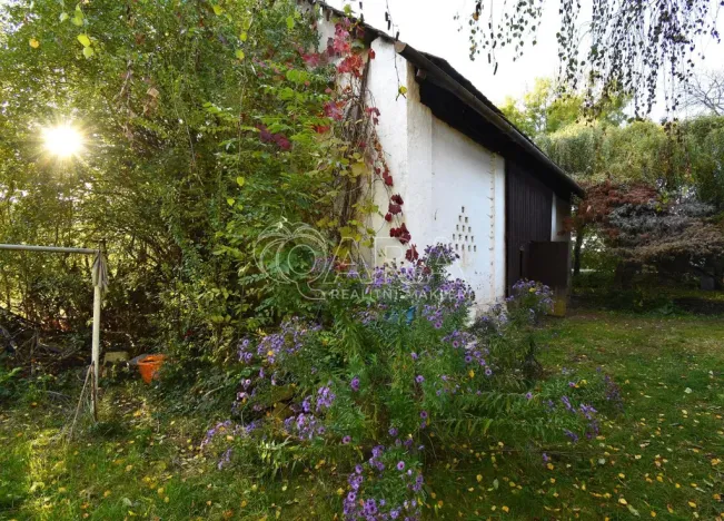 Prodej chalupy, Smidary - Chotělice, 90 m2