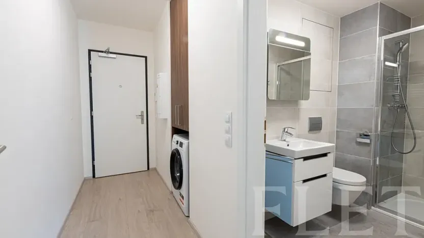 Pronájem bytu 1+kk, Praha - Žižkov, Hartigova, 32 m2