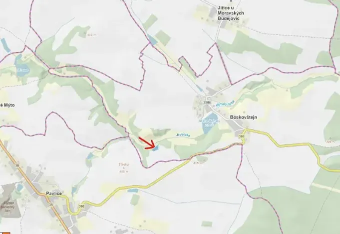 Prodej lesa, Boskovštejn, 2506 m2