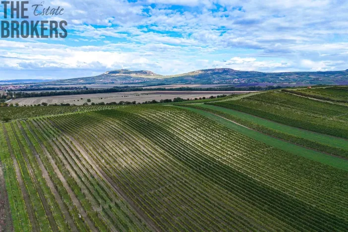 Prodej rodinného domu, Březí, Platanová, 133 m2