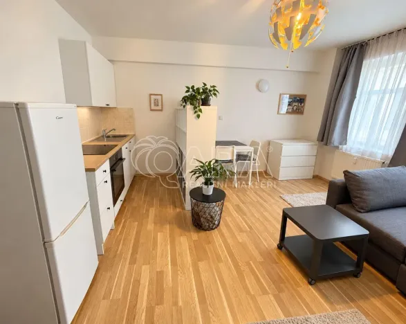 Pronájem bytu 1+kk, Praha - Žižkov, Dalimilova, 28 m2