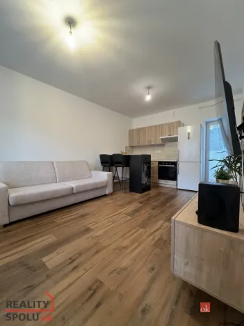 Pronájem bytu 1+kk, Ostrava - Martinov, Kamenná, 33 m2