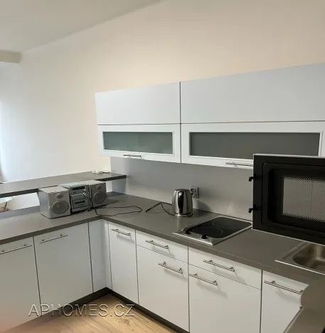 Pronájem bytu 2+kk, Praha - Karlín, Thámova, 46 m2