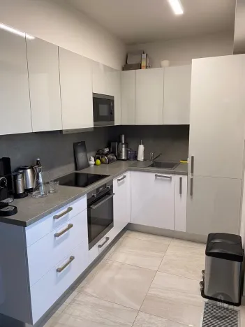 Prodej bytu 2+kk, Praha - Žižkov, Olšanská, 60 m2