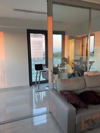 Prodej bytu 2+kk, Praha - Žižkov, Olšanská, 60 m2