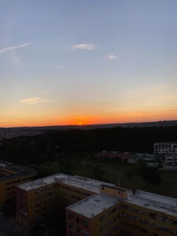Prodej bytu 2+kk, Praha - Žižkov, Olšanská, 60 m2