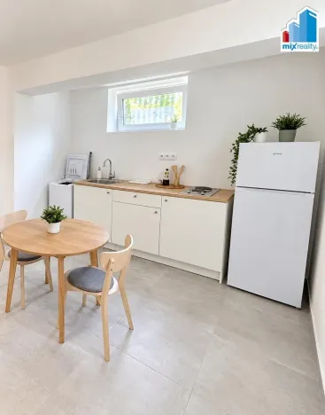 Pronájem bytu 1+kk, Plzeň - Doubravka, Třešňová, 16 m2