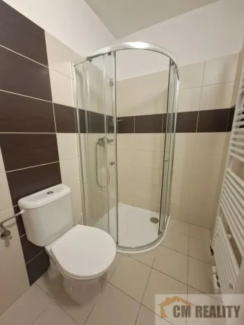 Pronájem bytu 1+1, Prostějov - Krasice, Na Brachlavě, 30 m2