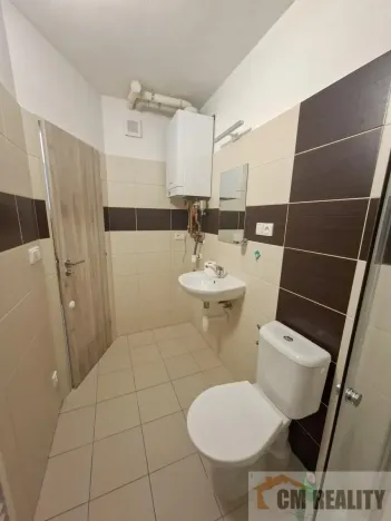 Pronájem bytu 1+1, Prostějov - Krasice, Na Brachlavě, 30 m2