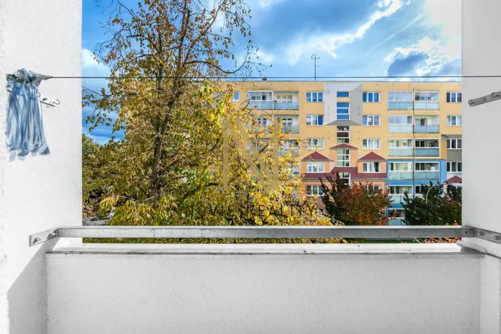 Prodej bytu 2+1, Plzeň, Plzenecká, 57 m2