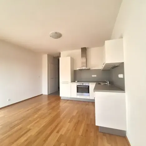 Pronájem bytu 2+kk, Praha - Smíchov, Fráni Šrámka, 43 m2
