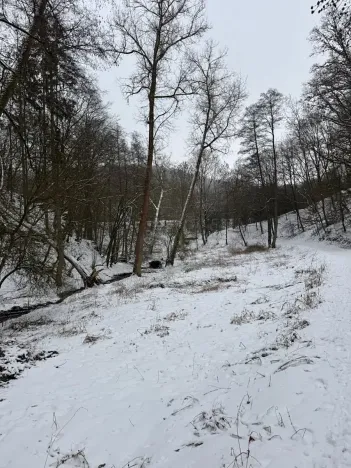 Prodej rybníku, Chotiměř, 6437 m2