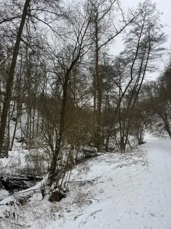 Prodej rybníku, Chotiměř, 6437 m2