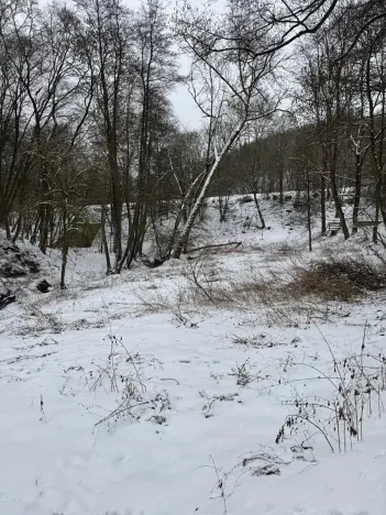 Prodej rybníku, Chotiměř, 6437 m2