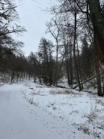 Prodej rybníku, Chotiměř, 6437 m2